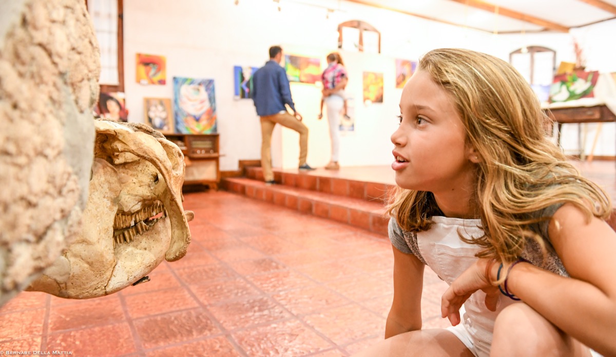 MUSEO 3