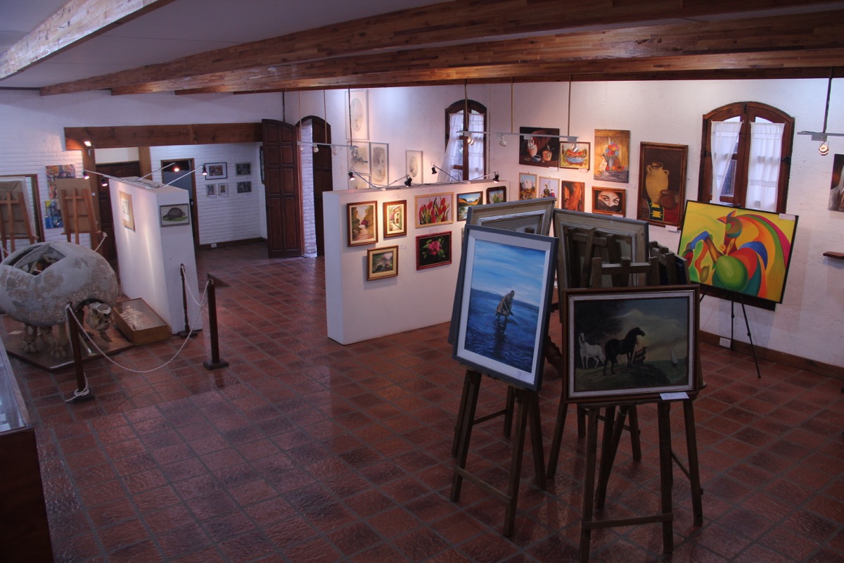 MUSEO 6