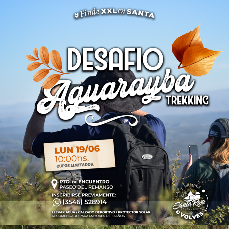 Mesa-de-trabajo-1-copia-5-768x768