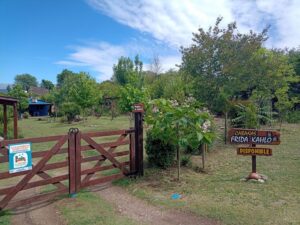 Lee más sobre el artículo FRIDA KAHLO