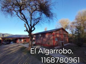 Lee más sobre el artículo EL ALGARROBO