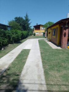 Lee más sobre el artículo AYLEN