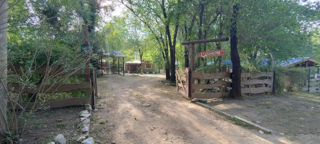 CALIMOCHO 1
