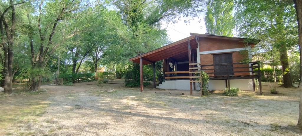 CALIMOCHO 6