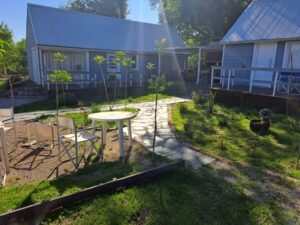 Lee más sobre el artículo BELLA VISTA