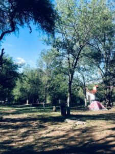 Lee más sobre el artículo EL PARAISO