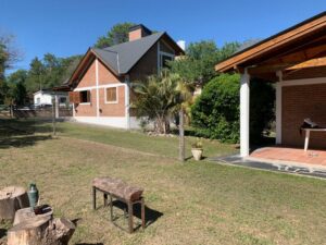 Lee más sobre el artículo LA HORMIGA