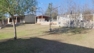 Lee más sobre el artículo OLLAGUA