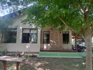 Lee más sobre el artículo EL TUCÁN