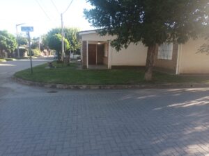 Lee más sobre el artículo MIS NIETOS