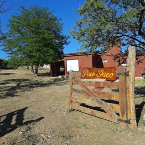 Lee más sobre el artículo PISCU YACO