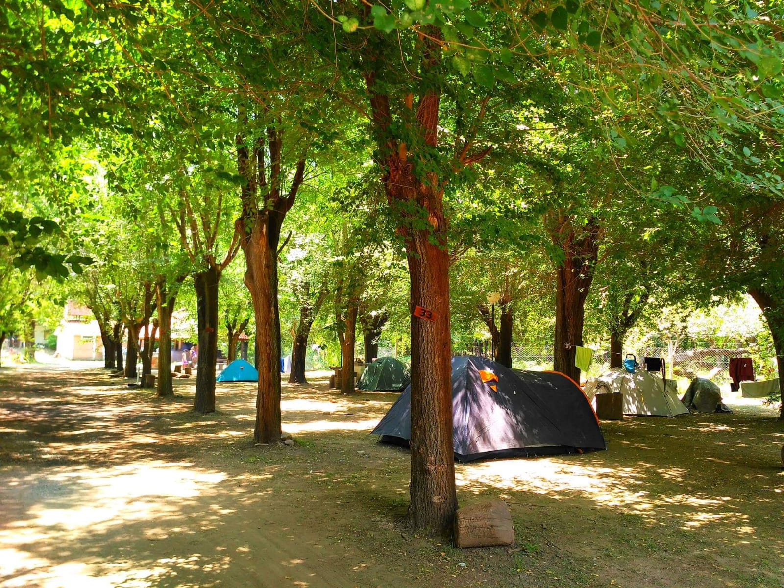 CAMPING PICHIRICHI (4)