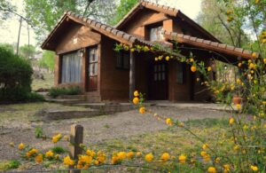 Lee más sobre el artículo EL PUENTE