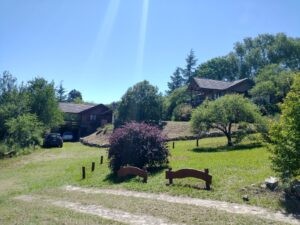 Lee más sobre el artículo STONE HILL