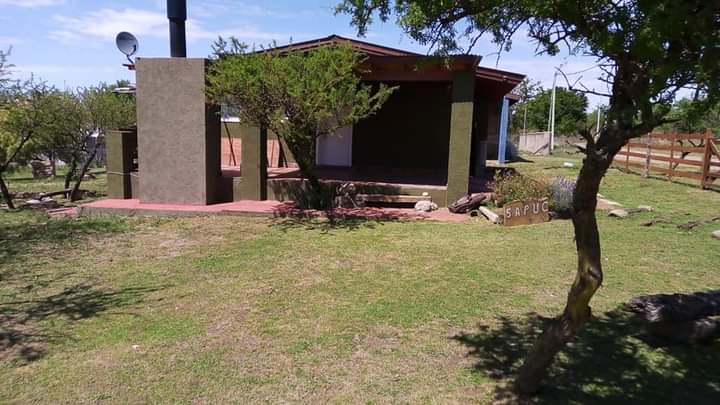 WhatsApp Image 2026-02-16 at 15.45.08 (1)