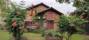 Lee más sobre el artículo LOS BICHOS