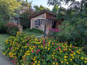 Lee más sobre el artículo EL BOSQUE