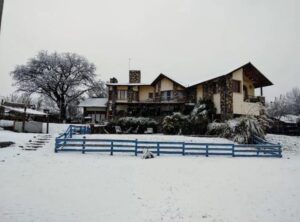 Lee más sobre el artículo NEW HOST