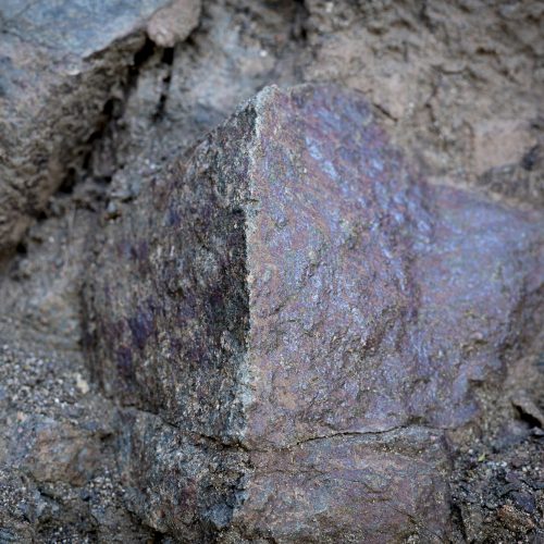 fallageologica-2 fallageologica-2